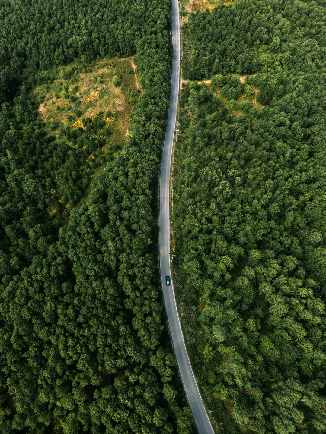 Nemo et dolor perferendis.